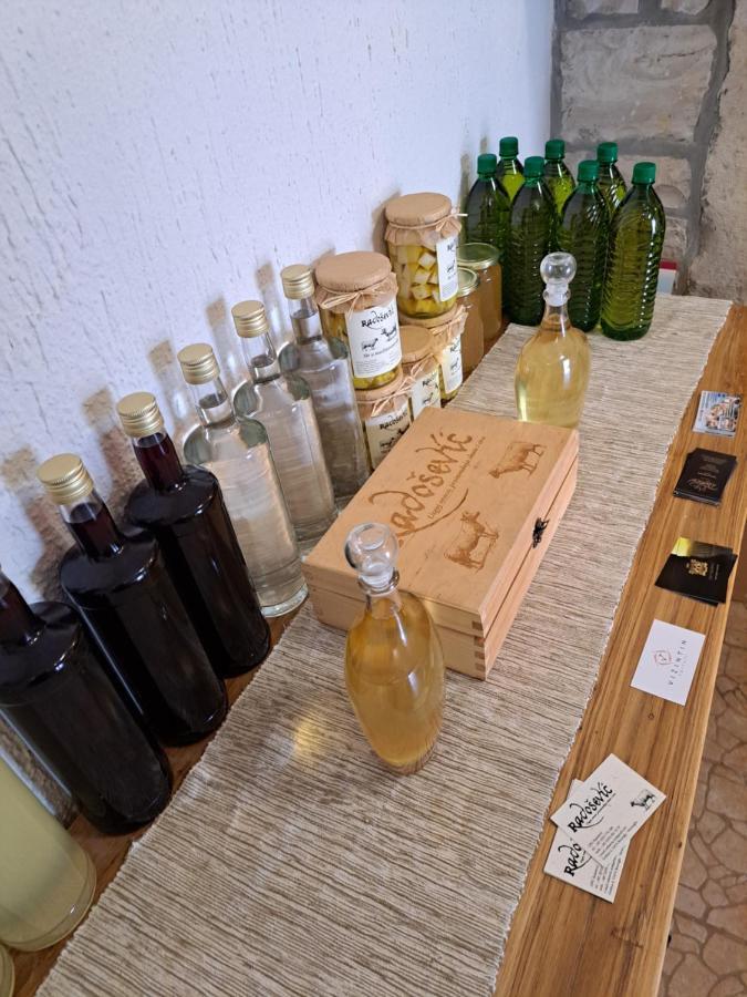 Pensjonat Sobe Anja Brtonigla Zewnętrze zdjęcie